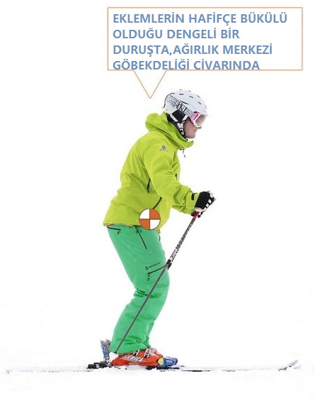 Temel kayak duruşu